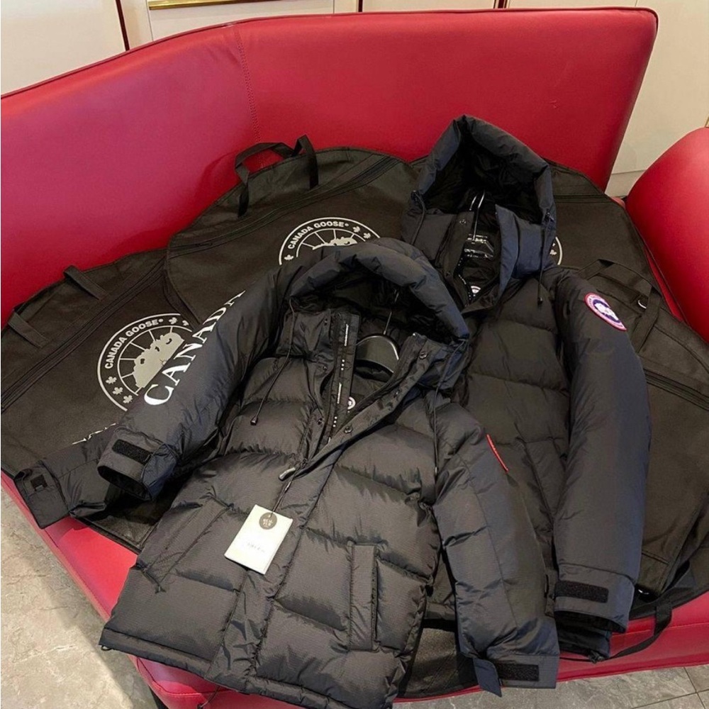 Canada goose